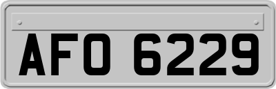 AFO6229