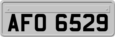 AFO6529