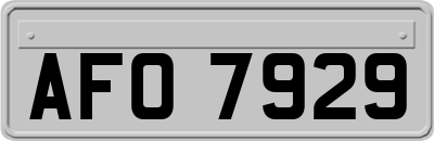 AFO7929