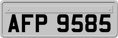 AFP9585