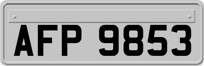AFP9853