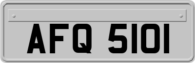 AFQ5101