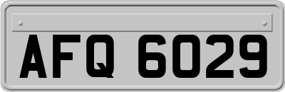AFQ6029