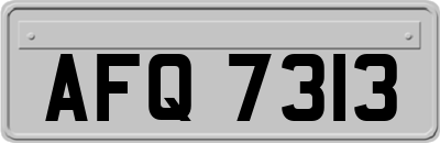 AFQ7313