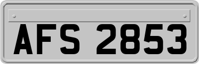 AFS2853