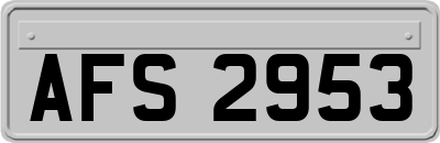 AFS2953