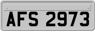 AFS2973
