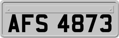 AFS4873