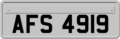 AFS4919