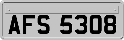AFS5308
