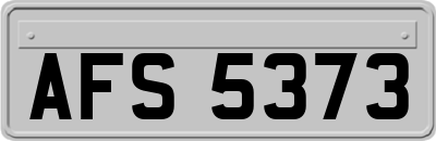 AFS5373
