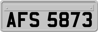 AFS5873