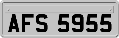 AFS5955