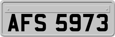 AFS5973
