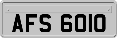 AFS6010