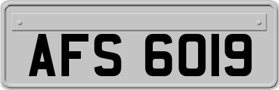 AFS6019
