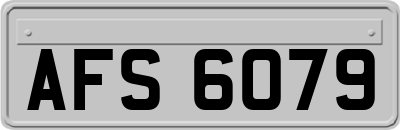AFS6079