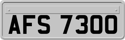 AFS7300