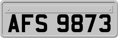 AFS9873