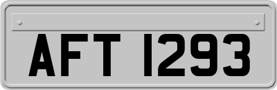 AFT1293