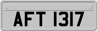 AFT1317