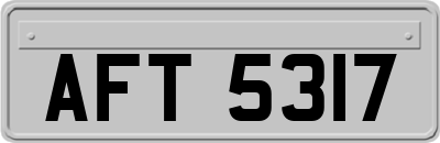 AFT5317