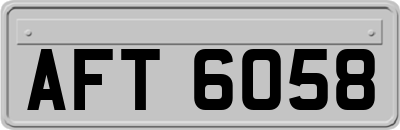 AFT6058