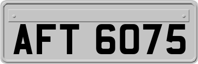 AFT6075