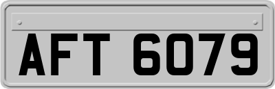 AFT6079