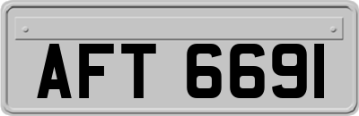 AFT6691