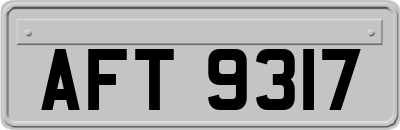 AFT9317