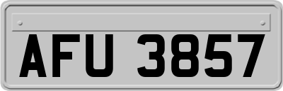 AFU3857