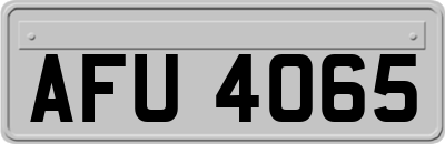 AFU4065