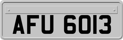 AFU6013