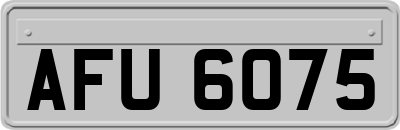 AFU6075