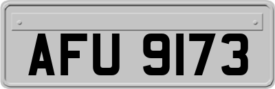 AFU9173