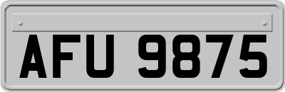 AFU9875