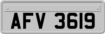 AFV3619