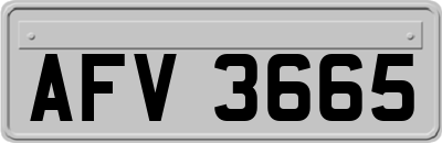 AFV3665