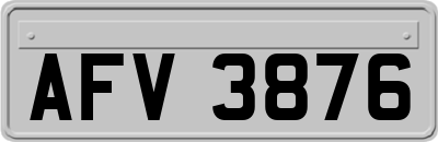 AFV3876
