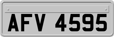 AFV4595