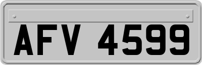 AFV4599