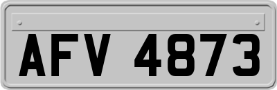 AFV4873