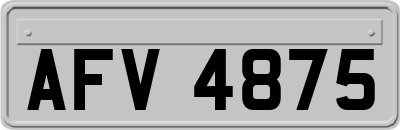 AFV4875