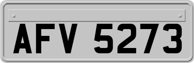 AFV5273