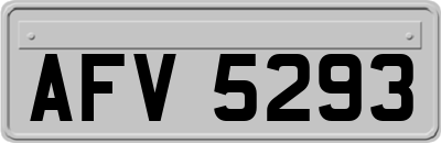 AFV5293
