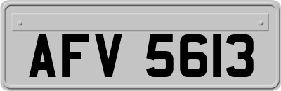 AFV5613