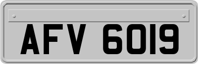 AFV6019