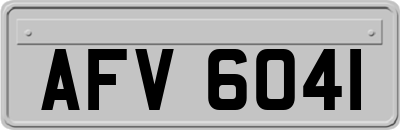 AFV6041