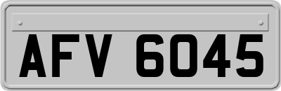 AFV6045